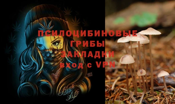 стаф Балабаново