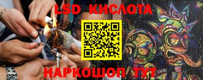 бошки Новозыбков