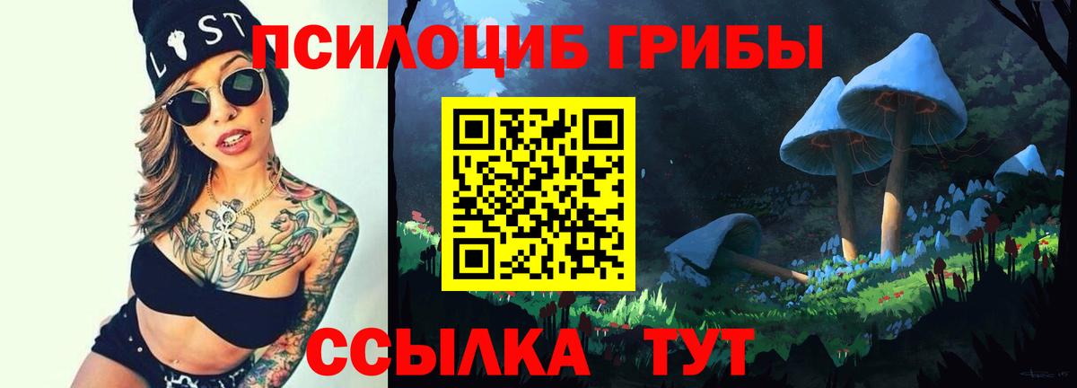 купить наркотики сайты  Вход с VPN  Верхняя Салда  Псилоцибиновые грибы Psilocybine cubensis 