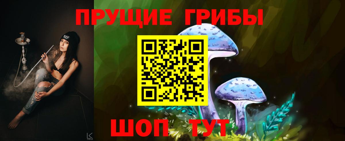 Псилоцибиновые грибы Psilocybe Верхняя Салда